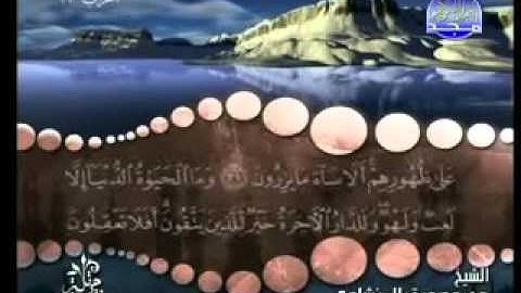 سورة الأنعام من آية 29  إلى  آية 36