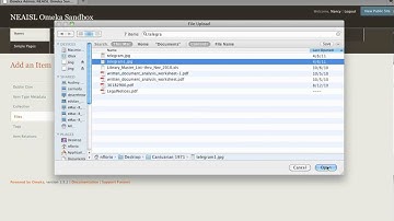 Adding an Item to Omeka