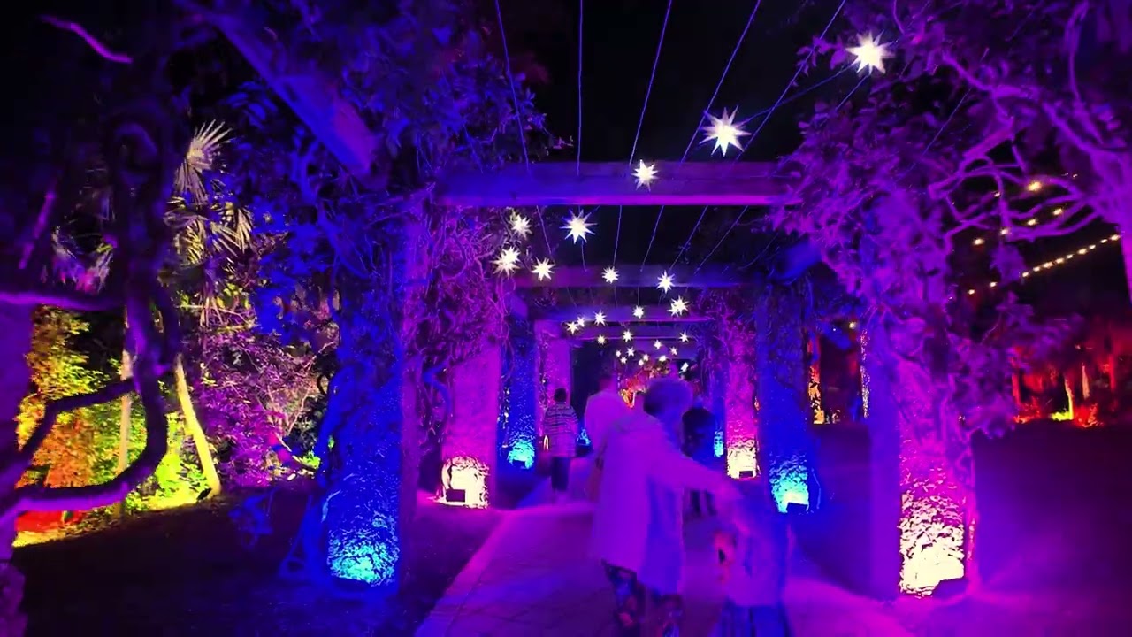 Johnsonville Night Lights in the Garden | Naples Botanical Garden
