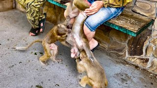видео: Тося добивается внимания и даже пытается СТАСКИВАТЬ Люсю с папы, чтобы она ОБРАТИЛА НА НЕЕ ВНИМАНИЕ! картинка: Тося добивается внимания и даже пытается СТАСКИВАТЬ Люсю с папы, чтобы она ОБРАТИЛА НА НЕЕ ВНИМАНИЕ!
