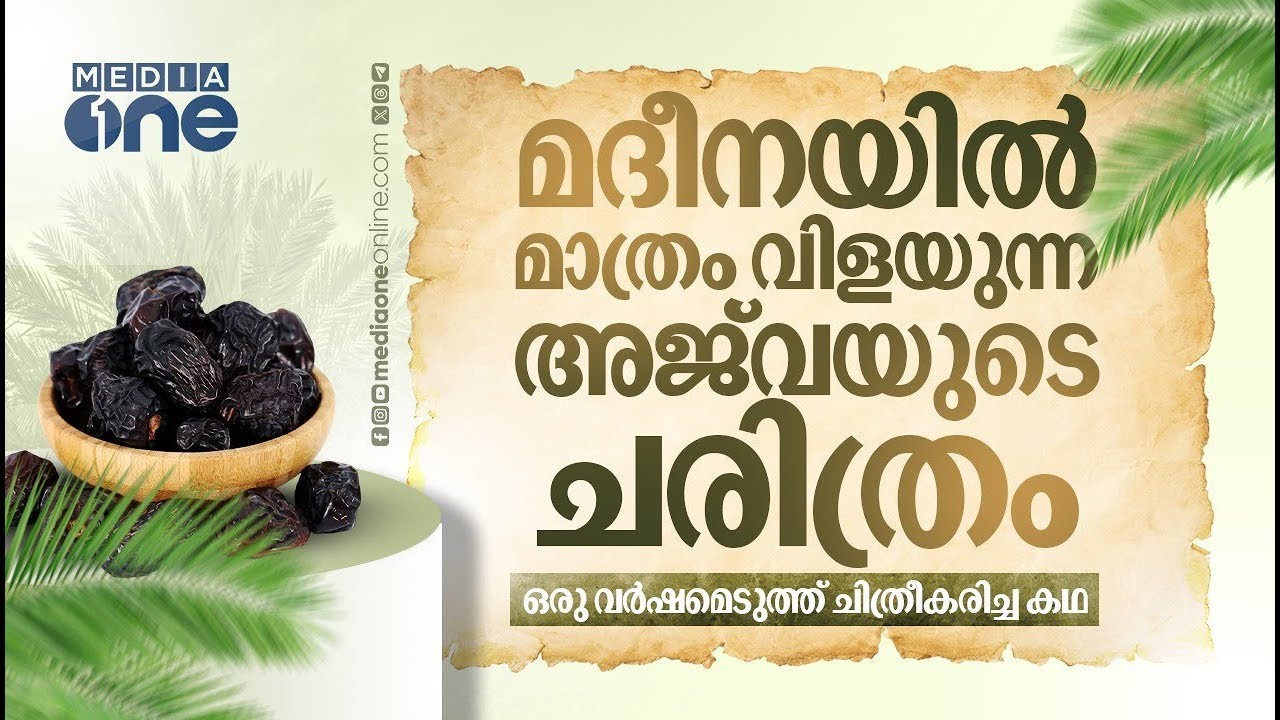 റസൂലിന്റെ ഒറ്റവാക്കിൽ ലോകോത്തര ഇനമായ അജ് വയുടെ ചരിത്രം | Ajwa Dates History | Saudi Story