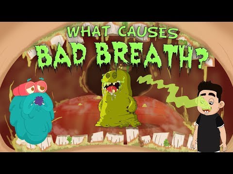 What Causes Bad Breath? | The Dr. Binocs Show | Best Learning Videos For Kids | Peekaboo Kidz