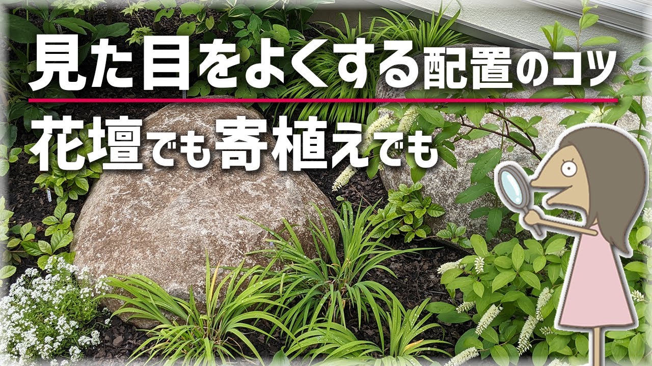 Tips for plant placement to improve appearance [Garden Planning