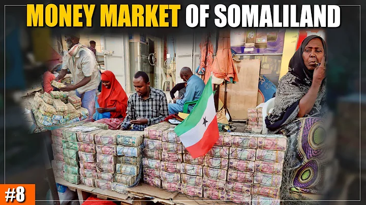 Inside Somaliland's Money Markets: A Vibrant World of Currency Exchange