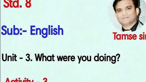 Std. 8 English Unit - 3. What were you doing? Activity - 3