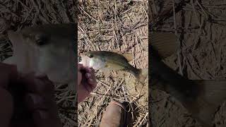 eagle lake del city Oklahoma BASS clear water