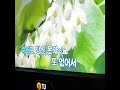 #유비 #눈먼사랑 #blinded by Love #Yoo Bee #cover
