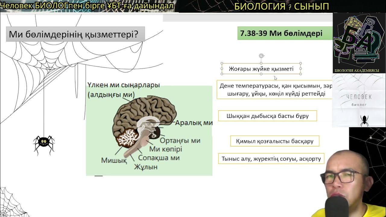 Қонақ үй бөлмесіндегі ана мен бала порно