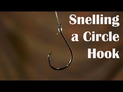How to Tie a Snell Knot on a Circle Hook 