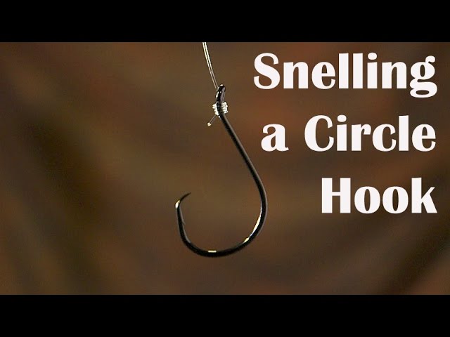 How to Tie a Snell Knot on a Circle Hook 