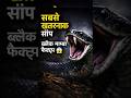 😱 सबसे खतरनाक सांप कौन है😱#shorts #youtubeshorts #facts