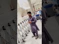 Mera Shahzada bhai #subscribe
