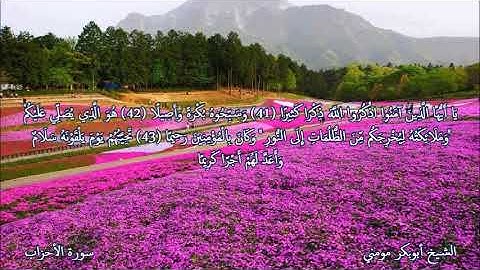 تلاوة خاشعة بصوت الشيخ أبوبكر مومني صلاة الجمعة 15-11-2019 II سورة الأحزاب