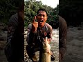 AKHIRNYA NAIK! Monster Sungai Ini Bikin Merinding