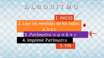 Algoritmo para calcular el perímetro de un triángulo - Nivel Inicial