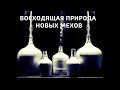 ВОСХОДЯЩАЯ ПРИРОДА НОВЫХ МЕХОВ | брат Роман