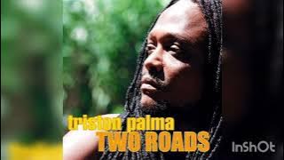 Triston Palma ft Mary Ochoa - Ragga Salsa (Two Roads Album)