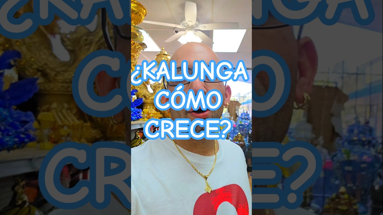 CONGO KALUNGA CÓMO CRECE