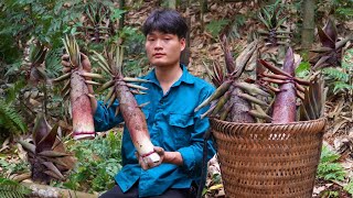 Harvest Bamboo Shoots, Go to the Market to Sell, Making Bamboo Shoot Rolls