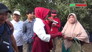 LARA ATI II | PUTRA PA