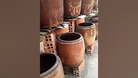 Nước mắm nhỉ cá linh nguyên chất. 0988 635 505