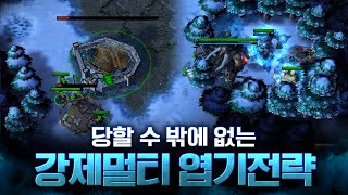 이게 된다고? 불편한동거 엽기전략ㅋㅋㅋㅋㅋㅋ - LawLiet 워크래프트3 (Warcraft3)