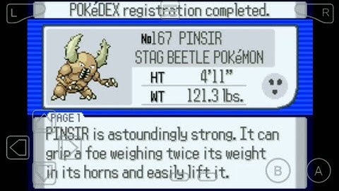 167: Where to Find Pinsir in Pokemon Ruby!