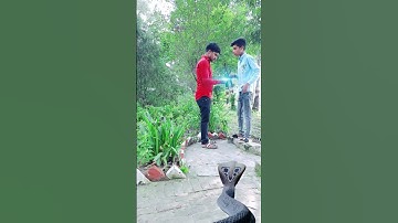 A Story of Nagin 🐍 Part 2 || Nagin Ka Badla 😤 || Star Avitesh || #vfx #vfxindia #shorts