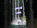 طيبة القلب الزائدة Shortsvideo Shorts طيبة القلب 