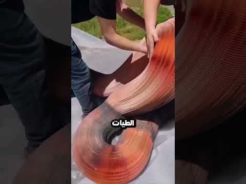 هذه الشجرة مصنوعة 100 من الورق عمل فني بالأوريغامي