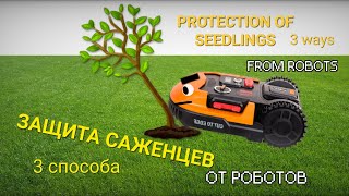 Protecting a seedling from a robot mower: 3 ways