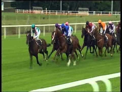 Frankel Amazing Win At Royal Ascot