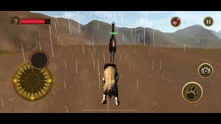 Lion Chase | Alex's Roaring Adventure in Lion Simulator Game! 🦁 | Kid's Gameplay screenshot 5
