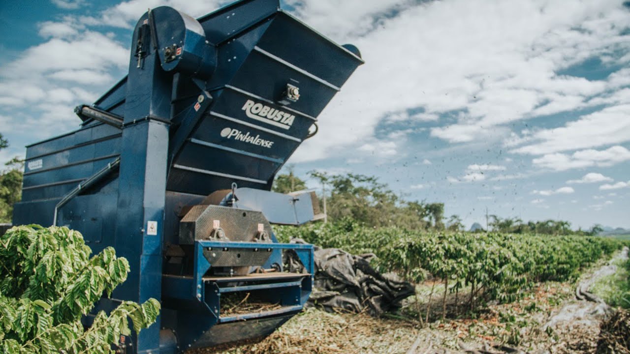 G1 - Máquina reduz custo da colheita do café conilon e robusta em