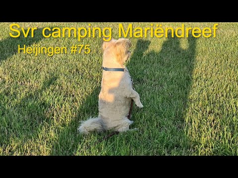 Svr camping Mariëndreef #75