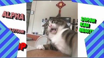 FANTRO|| intro for McVanz||2D ||100% android||bad sync :-||