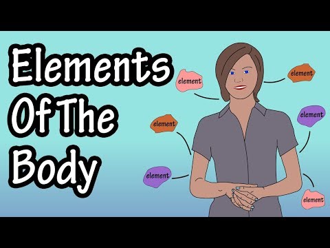 What Are Elements - Elements Of The Human Body - What Is The Body Made Of - Human Body Composition