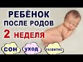 Что происходит и что нужно ребенку во 2 неделю жизни? Ребенок на второй неделе после родов.