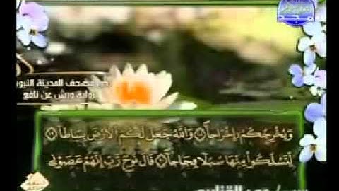 سوره نوح الشيخ عمر القزابري