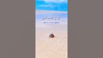 وما من دابة في الأرض إلا على الله رزقها - سورة هود