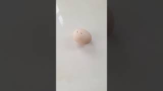 Ấn liên tục 2 lần vào quả trứng sẽ nở ra #khampha #art #nhungsuthatthuvi #xuhuongyoutube #animals😂😂