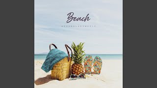 Download Lagu Beach Download Lagu Beach