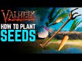 Valheim FARMING - How to plant seeds beginners guide #shorts