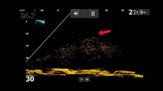 Риболов на чернокоп с джиг и Lowrance Active Target | SLJ Super Light Jigging with Active Target