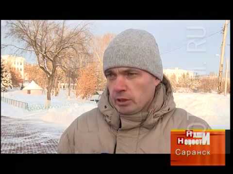 Жителей Мордовии просят помочь пересчитать водоплавающих птиц