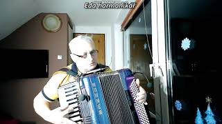 Video thumbnail of "Do lesíčka na čekanou-akordeon"
