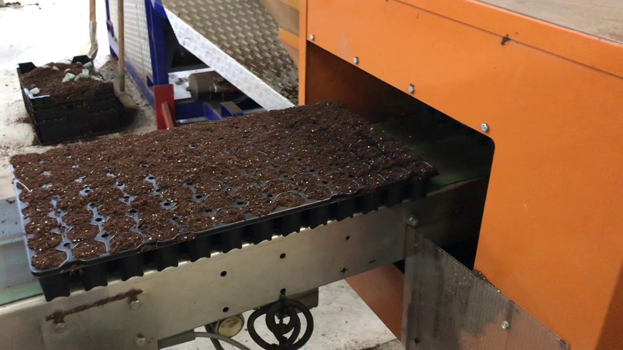 Javo Rotofill tray filling machine YouTube