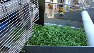 508-150: Complete sorting and cutting line for green beans Profile