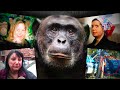 The VIOLENT Story of Travis The Chimp
