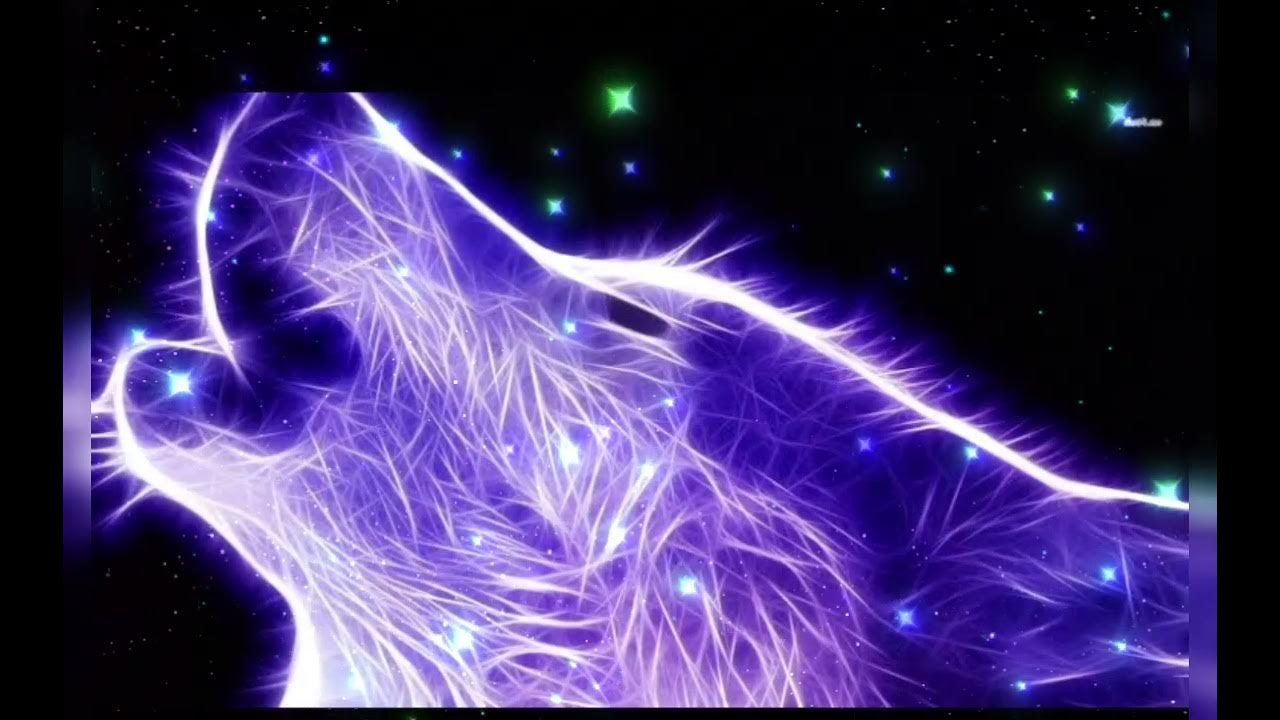 My Beat Goes x All Night (Ummet Ozcan x KSHMR) My Beat Goes x All Night (Ummet Ozcan x KSHMR)